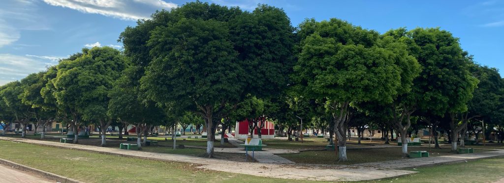 plaza10 (2)